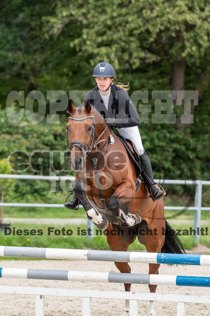 Late-Entry-Vielseitigkeit Langenfeld (06.+07.07.2020)