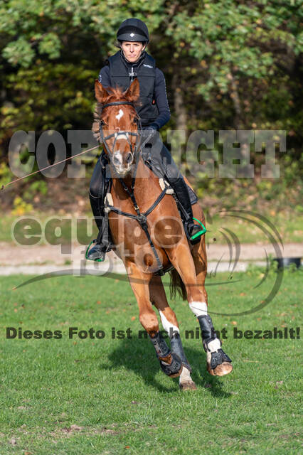 IGV Lehrgang der Sieger der Cups mit Frank Ostholt