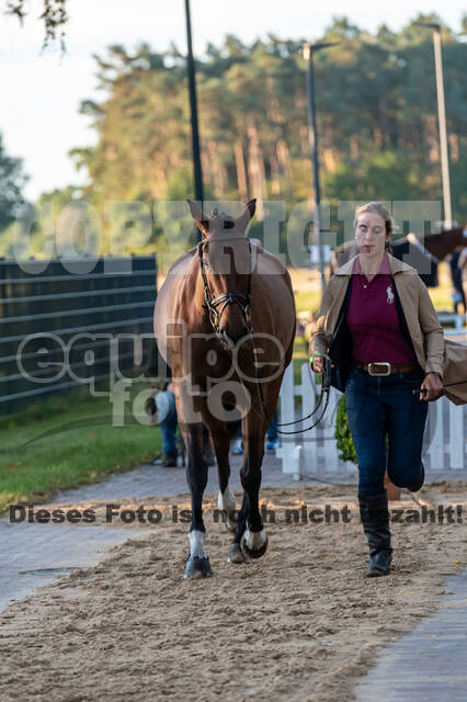 Deutsche Meisterschaft Vielseitigkeit (Luhmühlen)