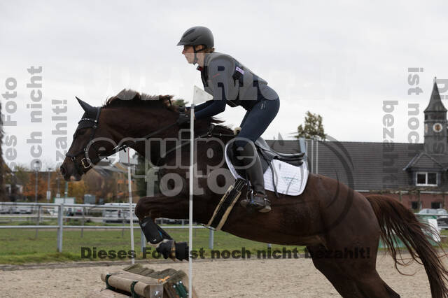 IGV Lehrgang der Sieger der Cups mit Frank Ostholt