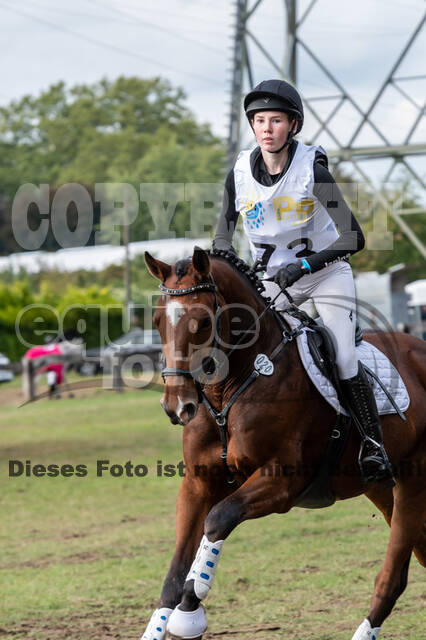 Vielseitigkeit RSV Wesel Obrighoven (26.+27.09.2020)