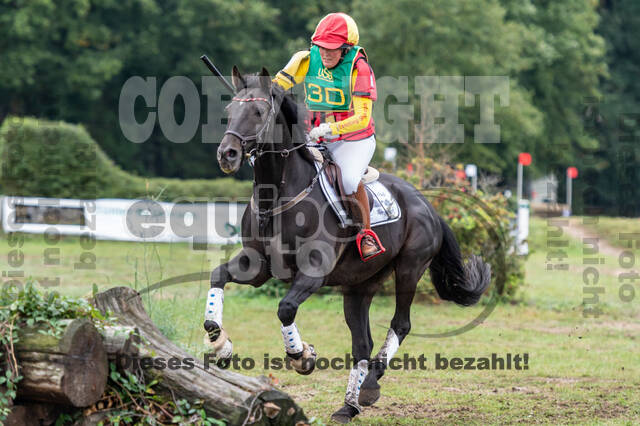 Vielseitigkeit RSV Wesel Obrighoven (26.+27.09.2020)