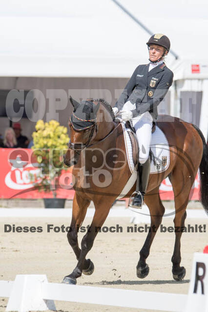 FEI European Championship Eventing 2017