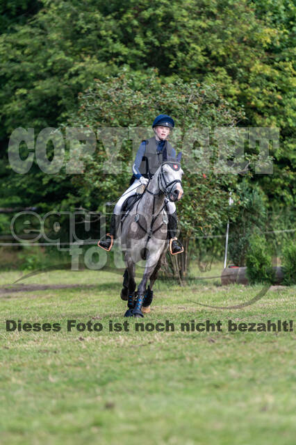 Goldene Schärpe 2021 - Ponys