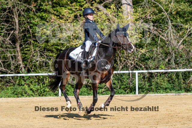 RFV Dinslaken-Hiesfeld (Herbstturnier)