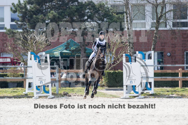 Eventing Langenfeld 2018