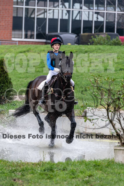 Goldene Schärpe 2020 - Pferde