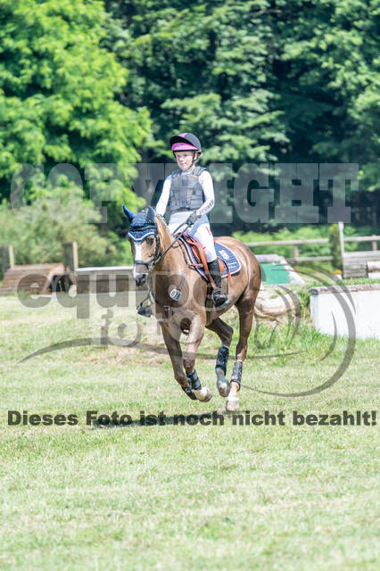 Goldene Schärpe 2021 - Ponys