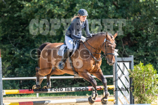 RFV Dinslaken-Hiesfeld (Herbstturnier)