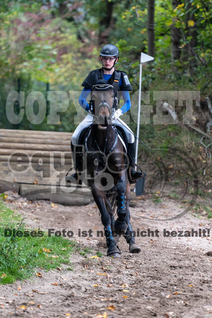 Goldene Schärpe 2020 - Pferde