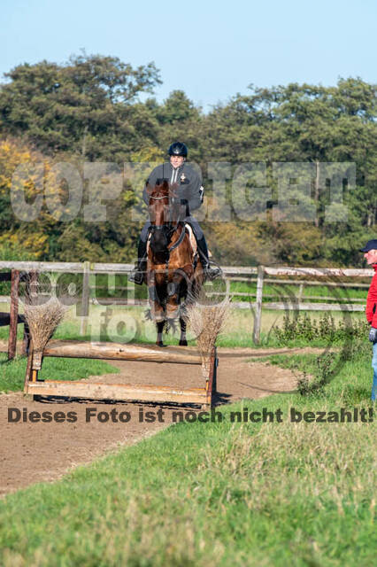 Vielseitigkeitslehrgang mit Jürg Kurbel (9.+10.11.2019)