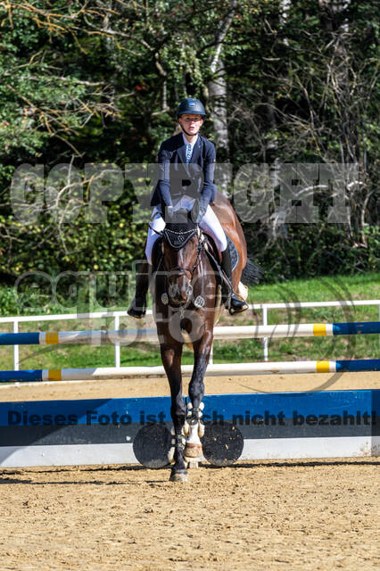 RFV Dinslaken-Hiesfeld (Herbstturnier)