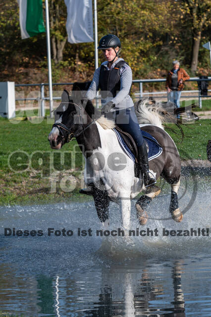 IGV Lehrgang der Sieger der Cups mit Frank Ostholt
