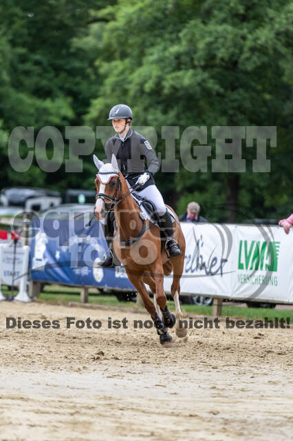 Goldene Schärpe 2021 - Ponys
