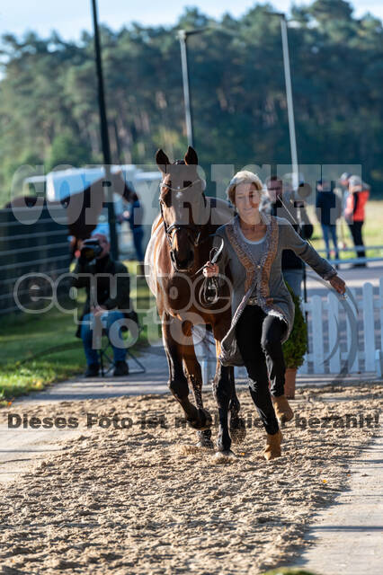 Deutsche Meisterschaft Vielseitigkeit (Luhmühlen)