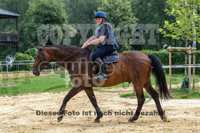 Hunter Geländetraining 10.07.2021 (Sonsbeck)