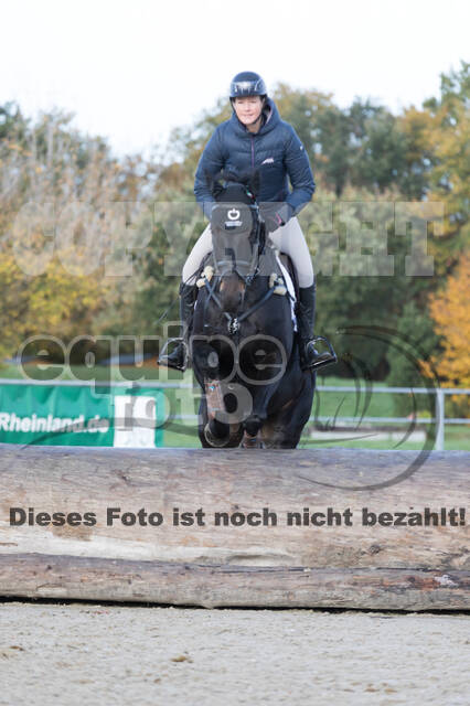 IGV Lehrgang der Sieger der Cups mit Frank Ostholt