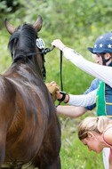 DJM Vielseitigkeit 2019, Kreuth