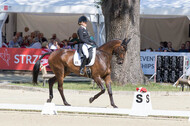 FEI European Championship Eventing 2017