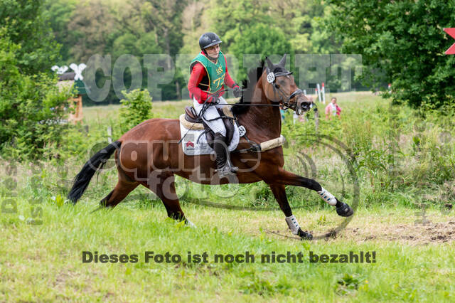 Westerstede Horse Trials (10.-13.06.2021)