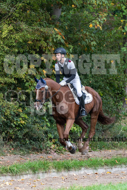 Goldene Schärpe 2020 - Pferde