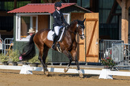 Westerstede Horse Trials 2021