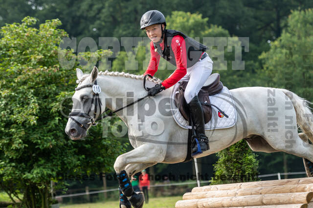 Goldene Schärpe 2021 - Ponys