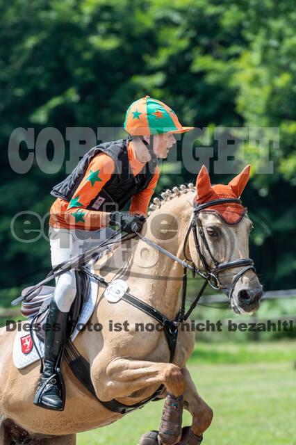 Goldene Schärpe 2021 - Ponys
