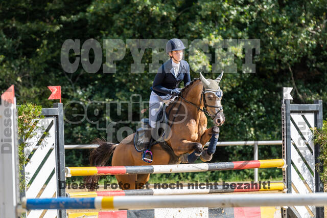 RFV Dinslaken-Hiesfeld (Herbstturnier)