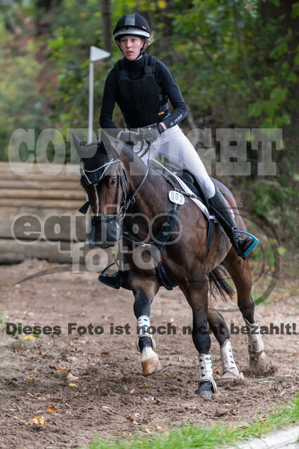 Goldene Schärpe 2020 - Pferde