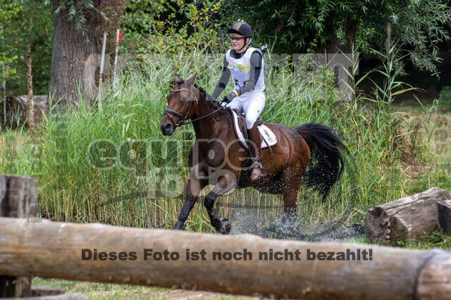 Late-Entry Vielseitigkeit Hamminkeln/Wesel (01.+02.08.2020)