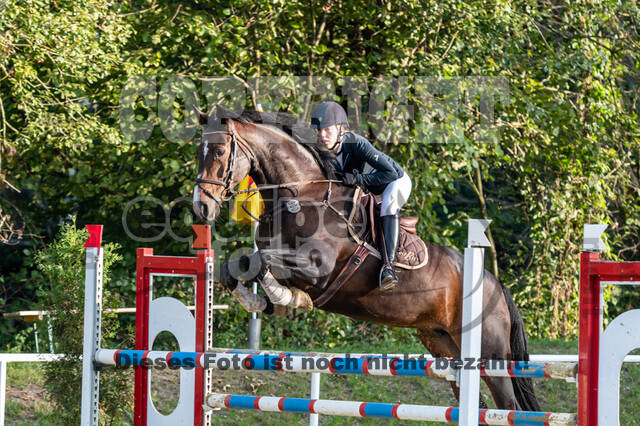 RFV Dinslaken-Hiesfeld (Herbstturnier)