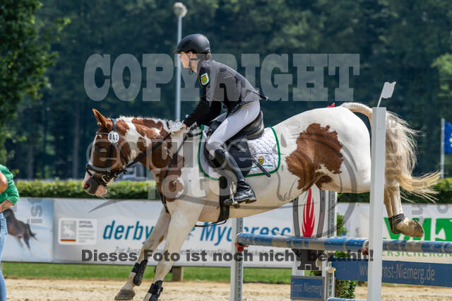 Goldene Schärpe 2021 - Ponys