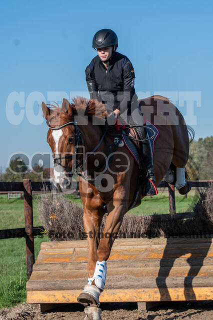 Vielseitigkeitslehrgang mit Jürg Kurbel (9.+10.11.2019)