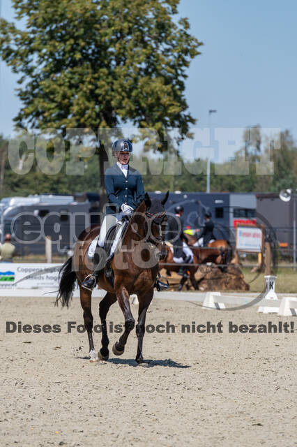 Kronenberg - De Peelbergen (August 2020)