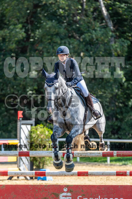 RFV Dinslaken-Hiesfeld (Herbstturnier)