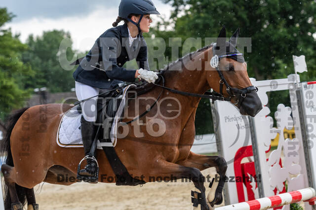 Goldene Schärpe 2021 - Ponys