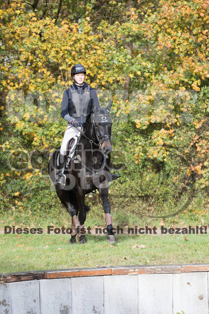 IGV Lehrgang der Sieger der Cups mit Frank Ostholt