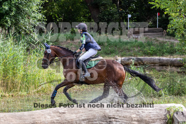 Late-Entry Vielseitigkeit Hamminkeln/Wesel (01.+02.08.2020)