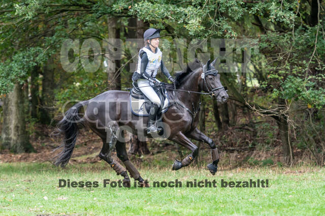 Vielseitigkeit RSV Wesel Obrighoven (26.+27.09.2020)