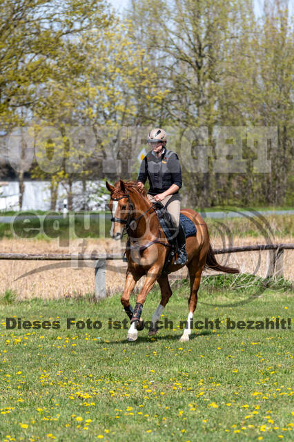 Geländetraining ZRFV Hamminkeln (24+25.04.2021)