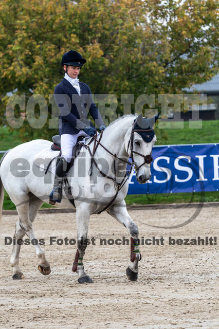 Goldene Schärpe 2020 - Pferde