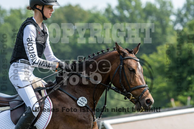 Goldene Schärpe 2021 - Ponys