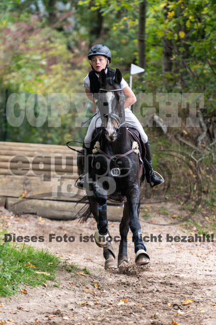 Goldene Schärpe 2020 - Pferde