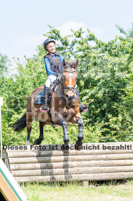 Goldene Schärpe 2021 - Ponys