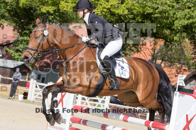 Sterne über Münster 2019 - CCI***S