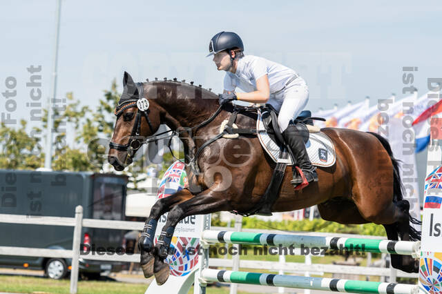 Kronenberg - De Peelbergen (August 2020)