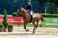 Goldene Schärpe 2021 - Ponys