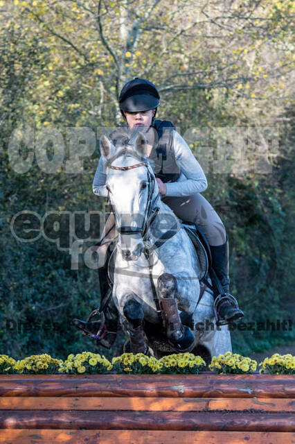 Vielseitigkeitslehrgang mit Jürg Kurbel (9.+10.11.2019)