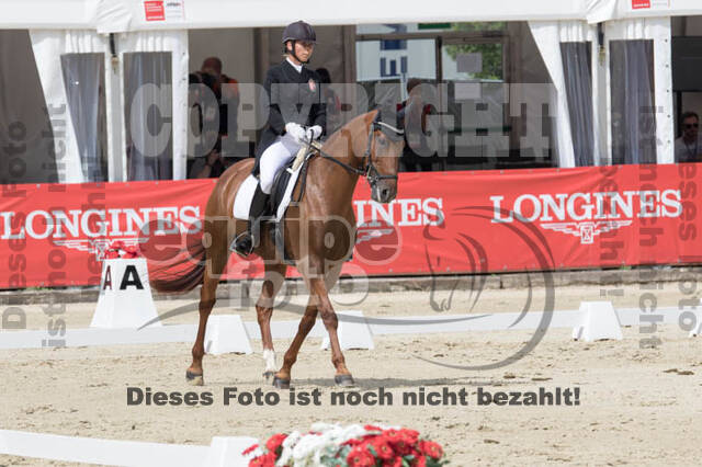 FEI European Championship Eventing 2017